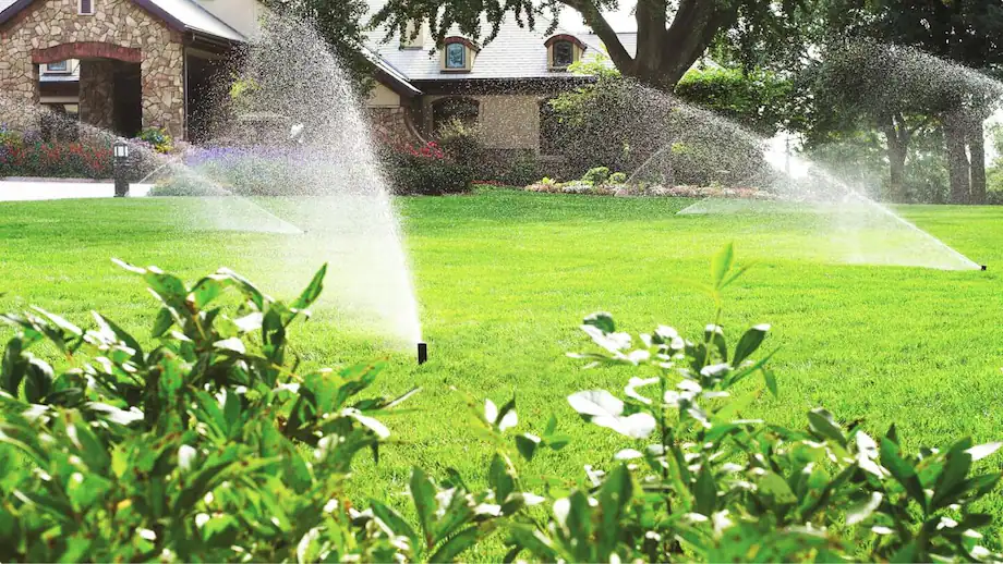 Irrigation2