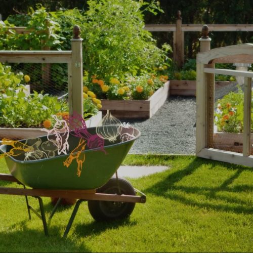 Garden2
