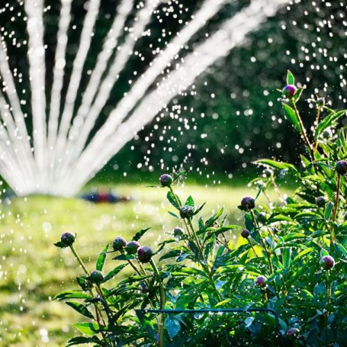 Irrigation